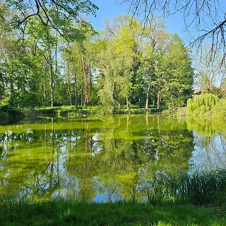 Pałac Ostoja - Gościnne Hotel *