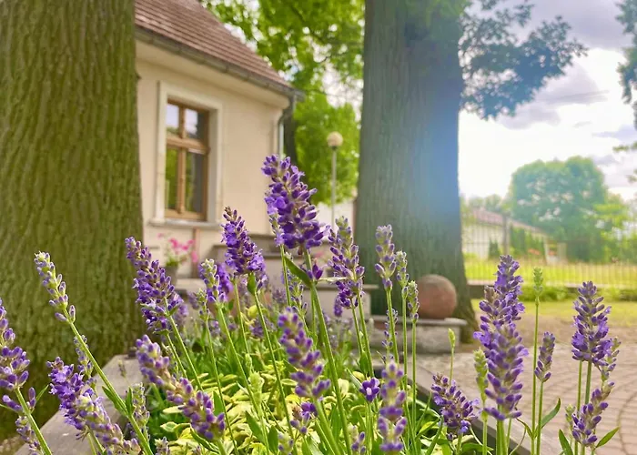 Palac Ostoja - Goscinne Hotel Przecław